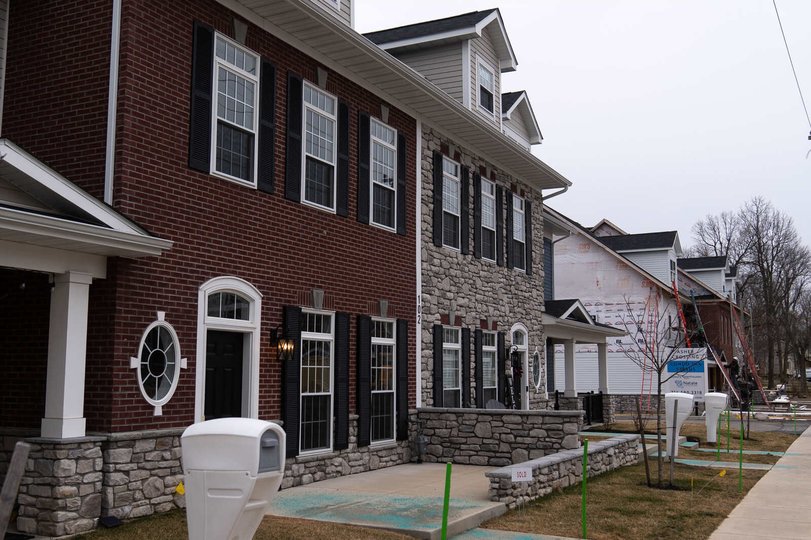 Williamsville development
